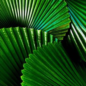 Meet your Posher, Sterling